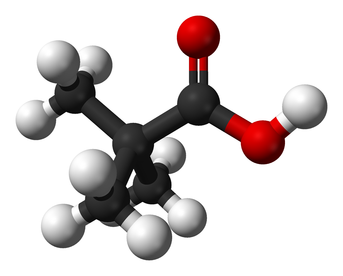 China Trimethylacetic acid